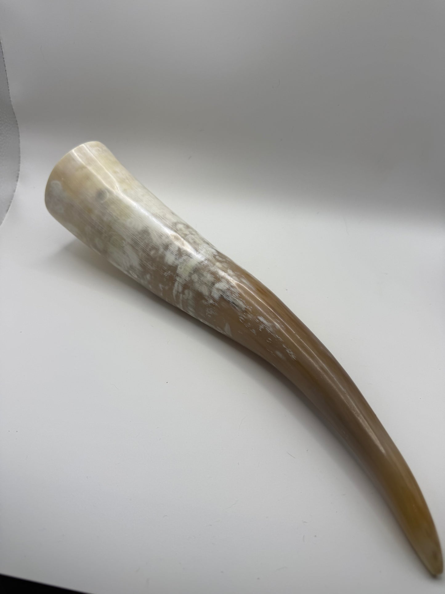 Small Drinking Horn with Leather Belt Frog